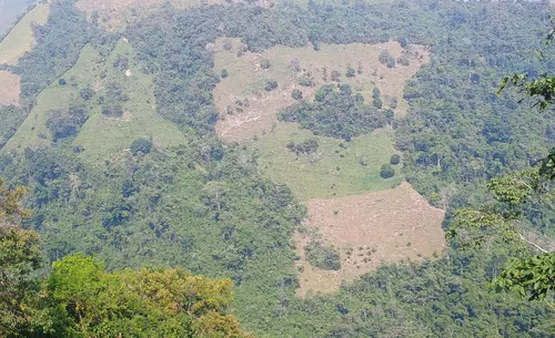 Finca Multipropósito En Minasal Yacopi Cundinamarca