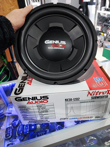 Subwoofer Genius 12   Pulgadas 250 Rms. 500 Wuatts 