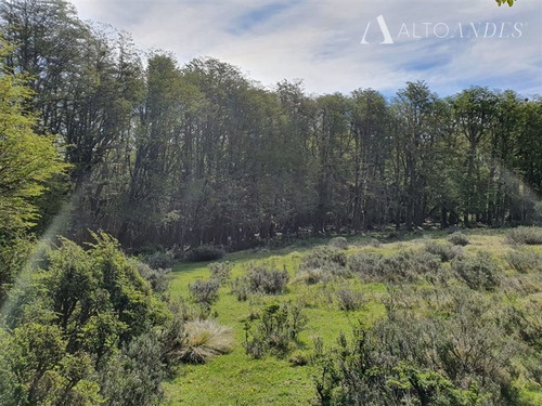 Imagen 17 de 30 de Sitio En Venta En Coihaique