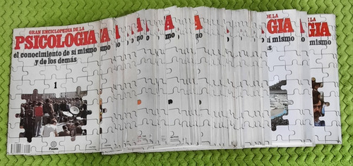 Gran Enciclopedia De La Psicología. Col Completa 105 Fascíc (Usado)