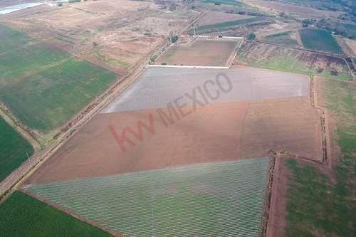 Imagen 3 de 12 de Terreno En Venta En Nextipac, Zapopan De 6 Hectáreas