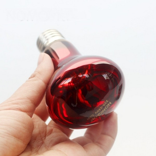 Imagen 2 de 6 de Ampolleta Infrarroja 50w Reptiles E Incubadoras Fullventas