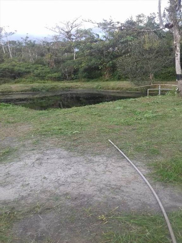 Imagem 12 de 13 de Rural - Venda - Aguapeu - Itanhaem - Ita2629