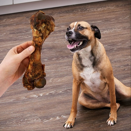 Scott Pet Pork Femur Wrapped For Pets Marrón Oscuro