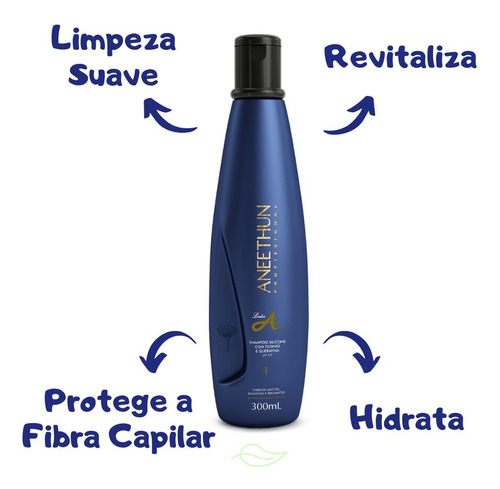 Kit Aneethun Shampoo E Máscara Linha A E Spray Liss System