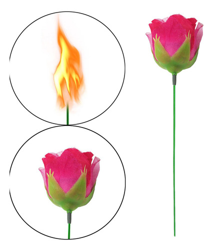 Accesorios Antorcha De Flores A Hombres Mujeres Accesorios