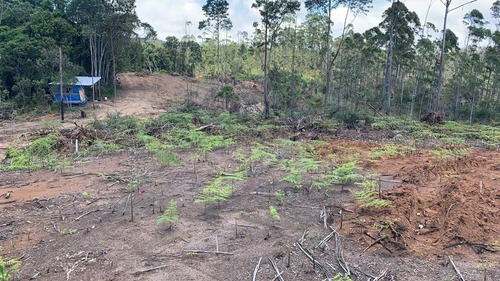 Imagem 6 de 8 de 6-troco Um Terreno Para Chacara Na Região De Mogi Das Cruzes