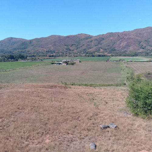 Leandro Araque Inzitu Realtors Vende De Terreno Agrícola En Nirgua, Bejuma, Estado Carabobo Superficie Total: 8,1 Hectáreas De Terreno Completamente Mecanizado Y Listo Para Sembrar.