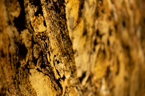 Imagen 6 de 6 de Revestimiento Piedraflex Translucido Golden (laminas 122x61)