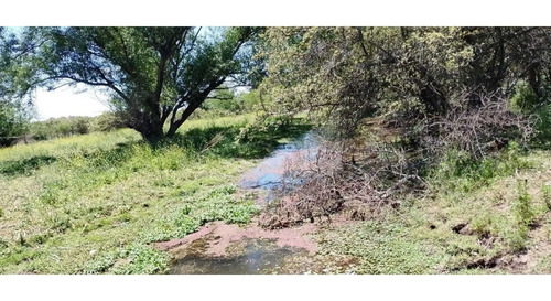 Imagen 4 de 11 de Terreno En La Falda