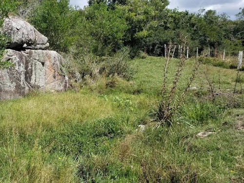 Imagen 7 de 15 de Campo Ganadero En San Jose De 126 Ha, Sierra De Mahoma, Ganadero