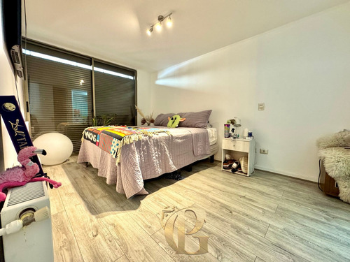 Oportunidad!estilo Mariposa,patio Privado En San Juan De Luz