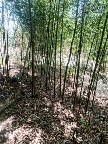 Imagem 6 de 7 de Terrenos À Venda Em Mairiporã/sp - Compre O Seu Terrenos Aqui! - 1496299