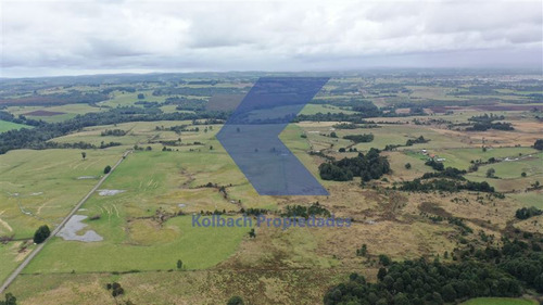 Agrícola Ganadero En Venta En Los Muermos