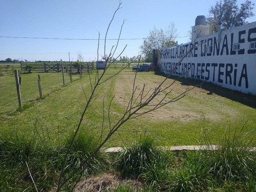 Imagen 5 de 6 de Terreno En San Miguel Del Monte Con Mejoras