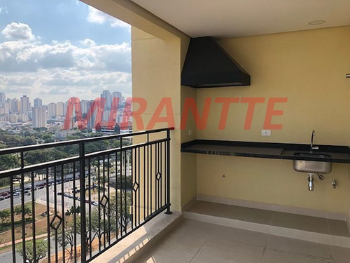 Imagem 3 de 18 de Apartamento Em Santana - São Paulo, Sp - 332050