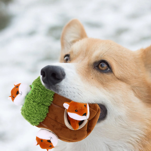 4 Peças De Brinquedo De Pelúcia Squeaky Para Cães, Atividade