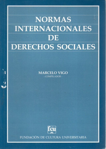Normas Internacionales De Derechos Sociales Marcelo Vigo 