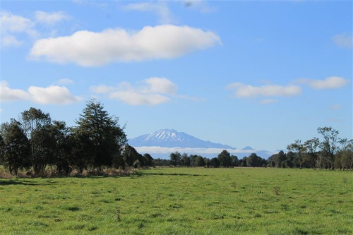Imagen 24 de 30 de Agrícola En Venta En Puerto Varas