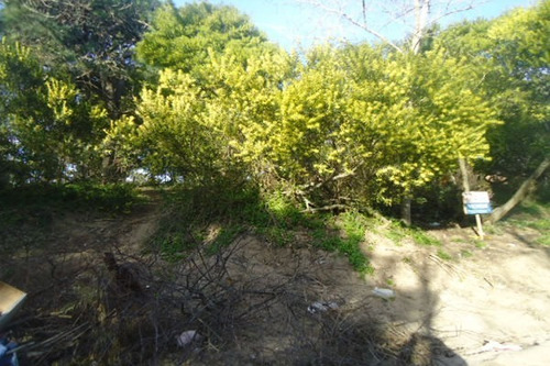 Imagen 3 de 5 de Excelentes Lotes Multifamiliares- 462mts C/u- Todos Los Servicios. Se Venden En Block O Individual , Oportunidad Nuevo Valor De Venta