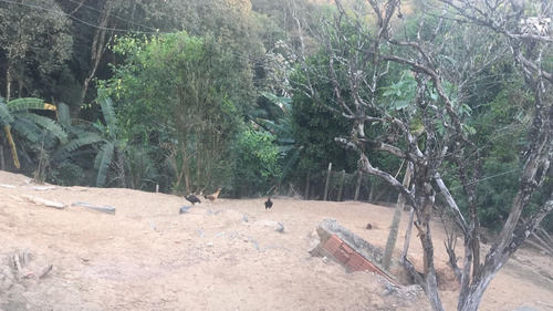 Imagem 19 de 25 de Chácara Com 3 Dormitórios À Venda, 1300 M² Por R$ 450.000 - São Bento - Arujá/sp - Ch0004