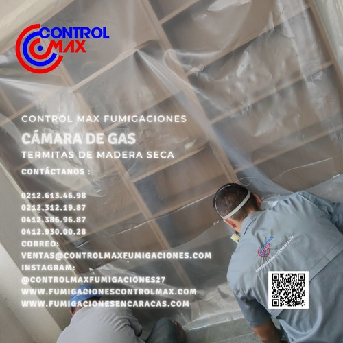 Imagen 4 de 10 de Servicio De Fumigacion Chiripas Pulgas Termitas Acaros