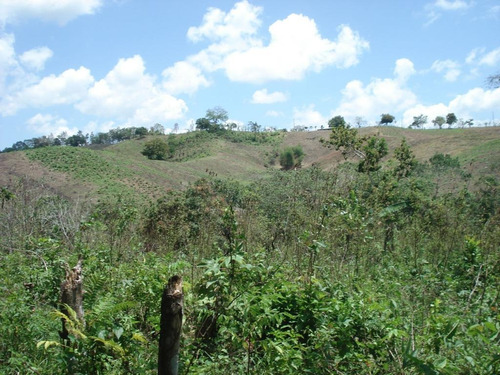 Finca En San Cristobal De 1370 Tareas Con Oro Tasada En 2 Millones Recibimos Permutas