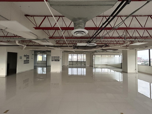 Oficina En Renta - Insurgentes Sur Piso 11- 470 M2