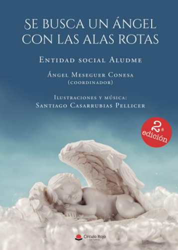 Libro: Se Busca Un Ángel Con Las Alas Rotas (spanish Edition
