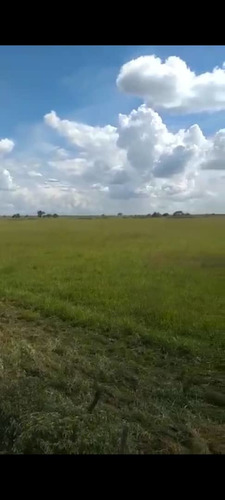 Imagen 14 de 17 de Se Vende Finca En Caicarita Estado Monagas Ve02-1095mced-mtru