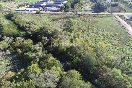 Terreno Campo En Venta En Pilar, G.b.a. Zona Norte