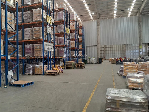 Bodega En Arriendo En Pudahuel