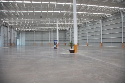 Bodega Industrial En Renta En Parque Apaseo Celaya