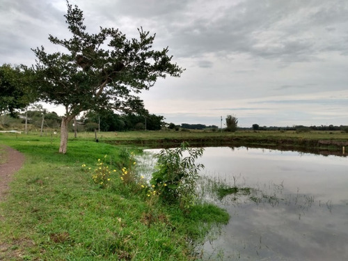 Chácara 20.000 M² - Passo Dos Pachecos - Glorinha - Rs - 2134 - 33951871