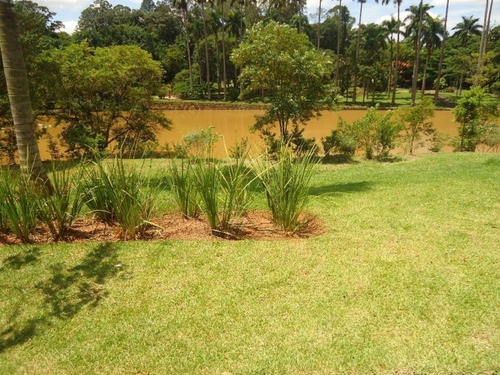 Imagem 8 de 11 de Terreno Residencial À Venda, Joapiranga, Valinhos. - Te0012 - 34666107