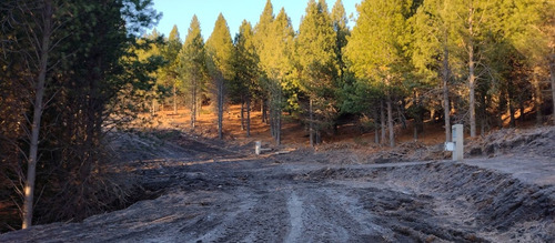 Imagen 3 de 11 de Lotes En El Remanso