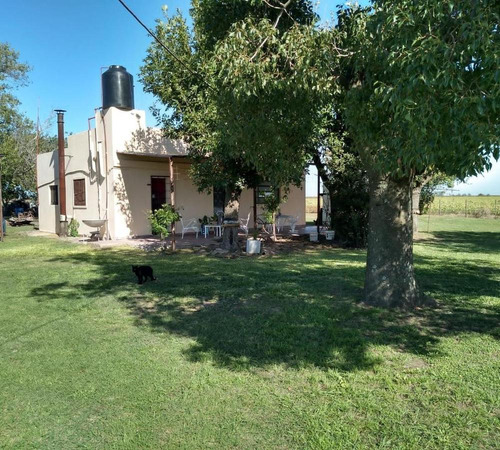 Campo Mixto 36has San Nicolas