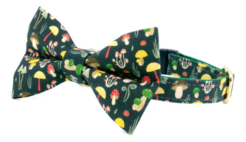 Collar De Gato Con Cascabeles Desmontable Para Gatos Collare
