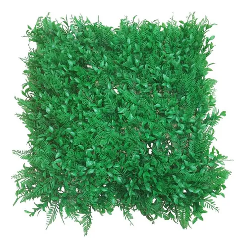 Follaje Pachysandra 50x50cm