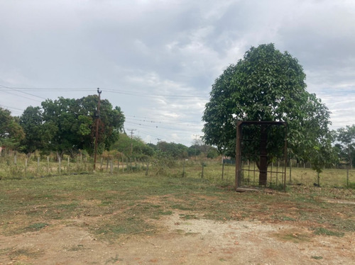 Finca En El Asentamiento Campesino Las Mariposa Plf-003