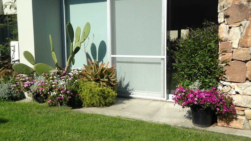 Imagen 1 de 4 de Diseño De Jardines, Creacion De Espacios Verdes, Paisajismo