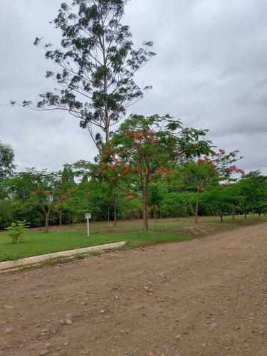 Recanto 3 Dias - Cesário Lange/locação Por Dia