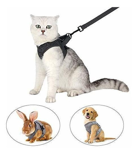 Yult Arnes Y Correa Para Gatos: Chaqueta De Paseo Para Gatos
