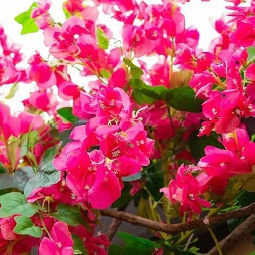 W Ramas De Buganvilla Seda Artificial De 120 Cm Rosa