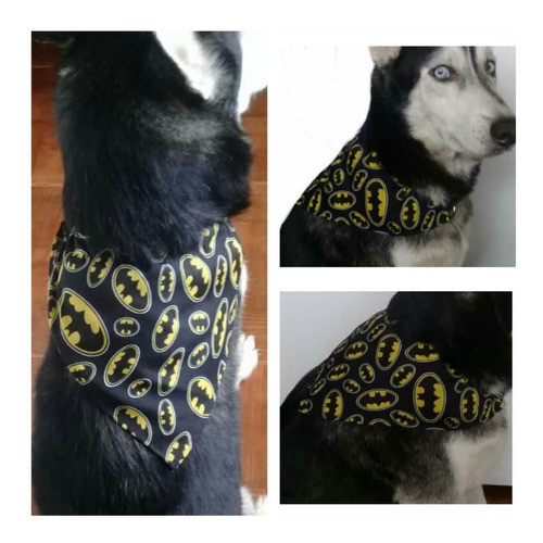 Bandana Pañoleta Para Mascotas Perro Y Gatos 