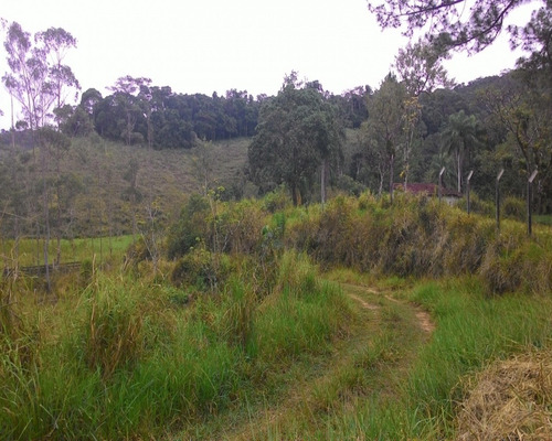 Imagem 4 de 30 de Fazenda - 0195 - 32820324