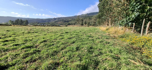 Terrenos Desde Los 5.000mts2 En Cañete