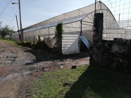 Terreno Urbano En Pedregal De Las Fuentes, Jiutepec, Morelos - Ari-607-tu