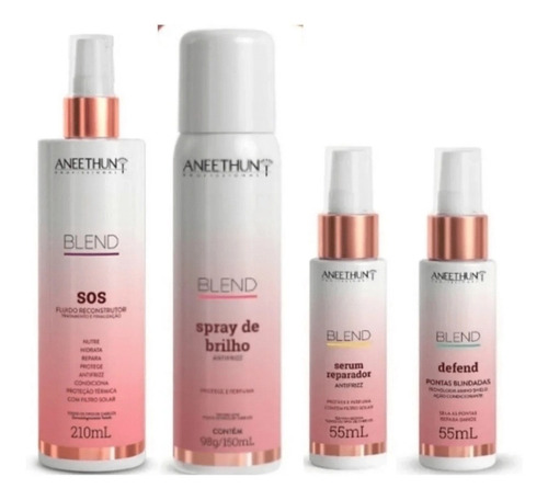 Aneethun Sos Blend + Spray De Brilho Blend 150g + Defend 55m