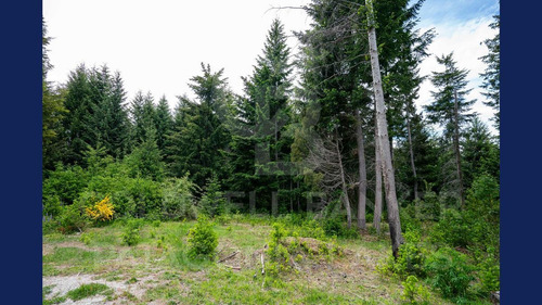 Imagen 2 de 19 de Venta Lote/terreno 3035m2 Barrio Puerto Nahuel - A Metros Del Lago Nahuel Huapi, Villa La Angostura